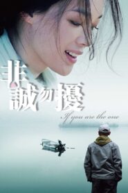 If You Are the One 2008 one on netflix