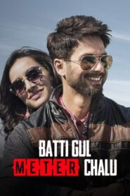 Batti Gul Meter Chalu 2018 one on netflix