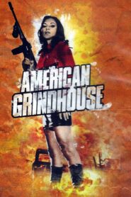 American Grindhouse 2011 one on netflix