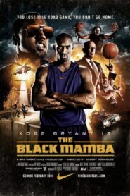 The Black Mamba 2011 one on netflix