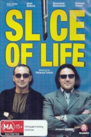Slice of Life 2002 one on netflix