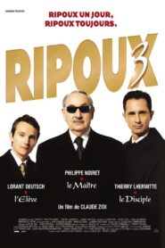My New Partner III 2003 one on netflix