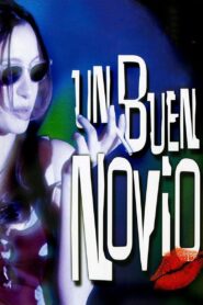Un buen novio 1998 one on netflix