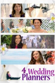 4 Wedding Planners 2011 one on netflix