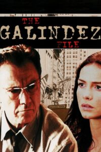 The Galíndez File 2003 one on netflix