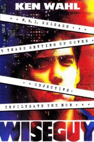 Wiseguy 1996 one on netflix
