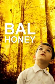 Honey 2010 one on netflix