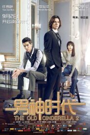 The Old Cinderella 2 2015 one on netflix