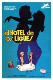 The Hotel of Love Affairs 1983 one on netflix