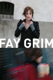 Fay Grim 2007 one on netflix