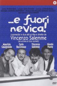 …e fuori nevica! 1995 one on netflix