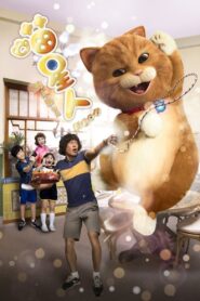 Meow 2017 one on netflix