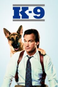 K-9 1989 one on netflix
