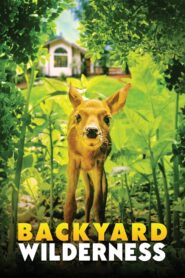 Backyard Wilderness 2018 one on netflix