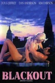 Blackout 1996 one on netflix