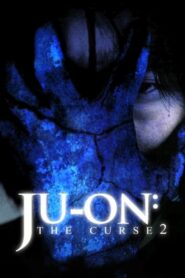 Ju-on: The Curse 2 2000 one on netflix