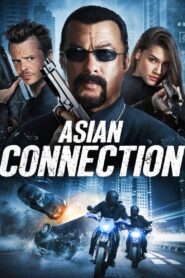 The Asian Connection 2016 one on netflix