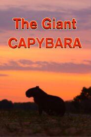 The Giant Capybara 1995 one on netflix
