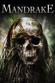Mandrake 2010 one on netflix