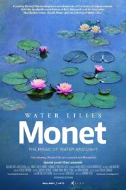 Water Lilies by Monet 2018 one on netflix