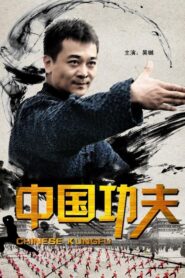 Chinese Kungfu 2010 one on netflix