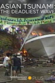 Asian Tsunami: The Deadliest Wave 2014 one on netflix