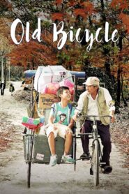 Old Bicycle 2015 one on netflix