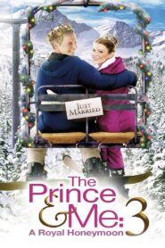 The Prince & Me: A Royal Honeymoon 2008 one on netflix
