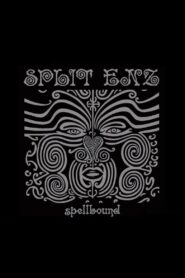Split Enz: Spellbound 1993 one on netflix