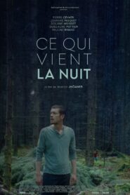 What Comes at Night 2022 one on netflix