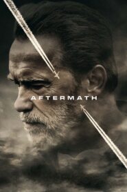 Aftermath 2017 one on netflix