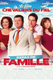 Repas de famille 2014 one on netflix