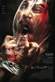 Kidnapped 2010 one on netflix