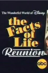 The Facts of Life Reunion 2001 one on netflix