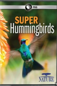 Super Hummingbirds 2016 one on netflix