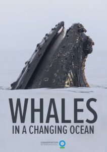 Whales in a Changing Ocean 2021 one on netflix