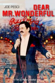 Dear Mr. Wonderful 1982 one on netflix