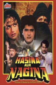 Hasina Aur Nagina 1996 one on netflix