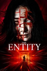 The Entity 2019 one on netflix