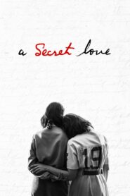 A Secret Love 2020 one on netflix