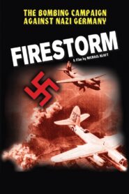 Firestorm 2003 one on netflix