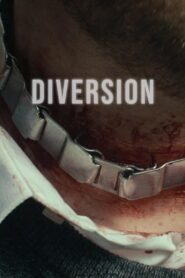 Diversion 2018 one on netflix