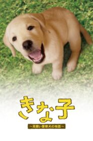 Kinako – The Story of an Apprentice Police Dog 2010 one on netflix