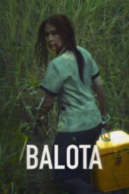Ballot 2024 one on netflix