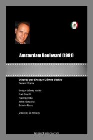 Amsterdam Boulevard 1991 one on netflix