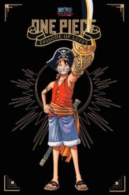 One Piece: Episode of Luffy – Hand Island Adventure 2012 one on netflix