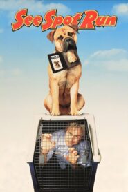 See Spot Run 2001 one on netflix