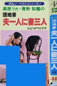 Apartment Wife: One Husband, Three Wives 1981 one on netflix