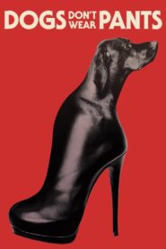 Dogs Don’t Wear Pants 2019 one on netflix