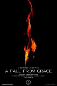 A Fall from Grace 2020 one on netflix